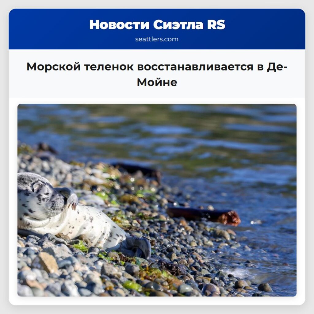 Морской теленок восстанавливается в Де-Мойне