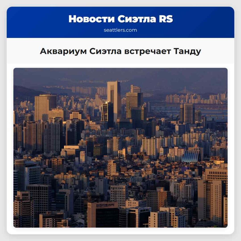 Аквариум Сиэтла встречает Танду