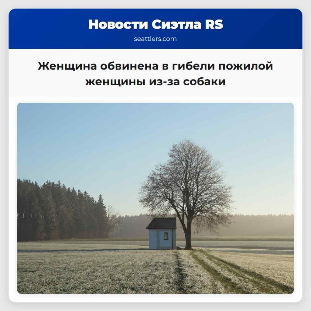 Женщина обвинена в гибели пожилой женщины из-за