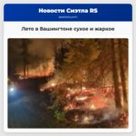 Лето в Вашингтоне сухое и жаркое