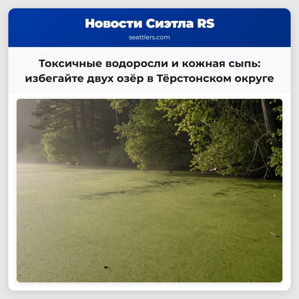 Токсичные водоросли и кожная сыпь: избегайте двух