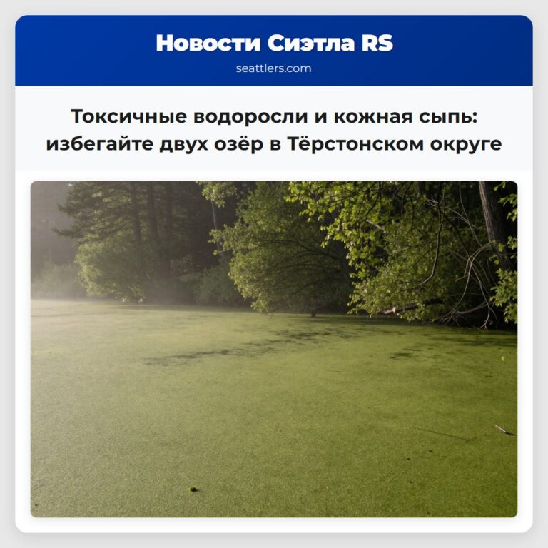 Токсичные водоросли и кожная сыпь избегайте двух озёр в Тёрстонском округе