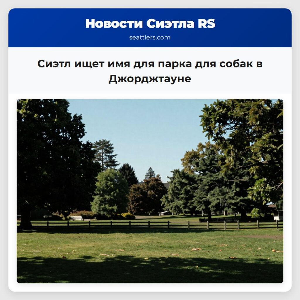 Сиэтл ищет имя для парка для собак в Джорджтауне