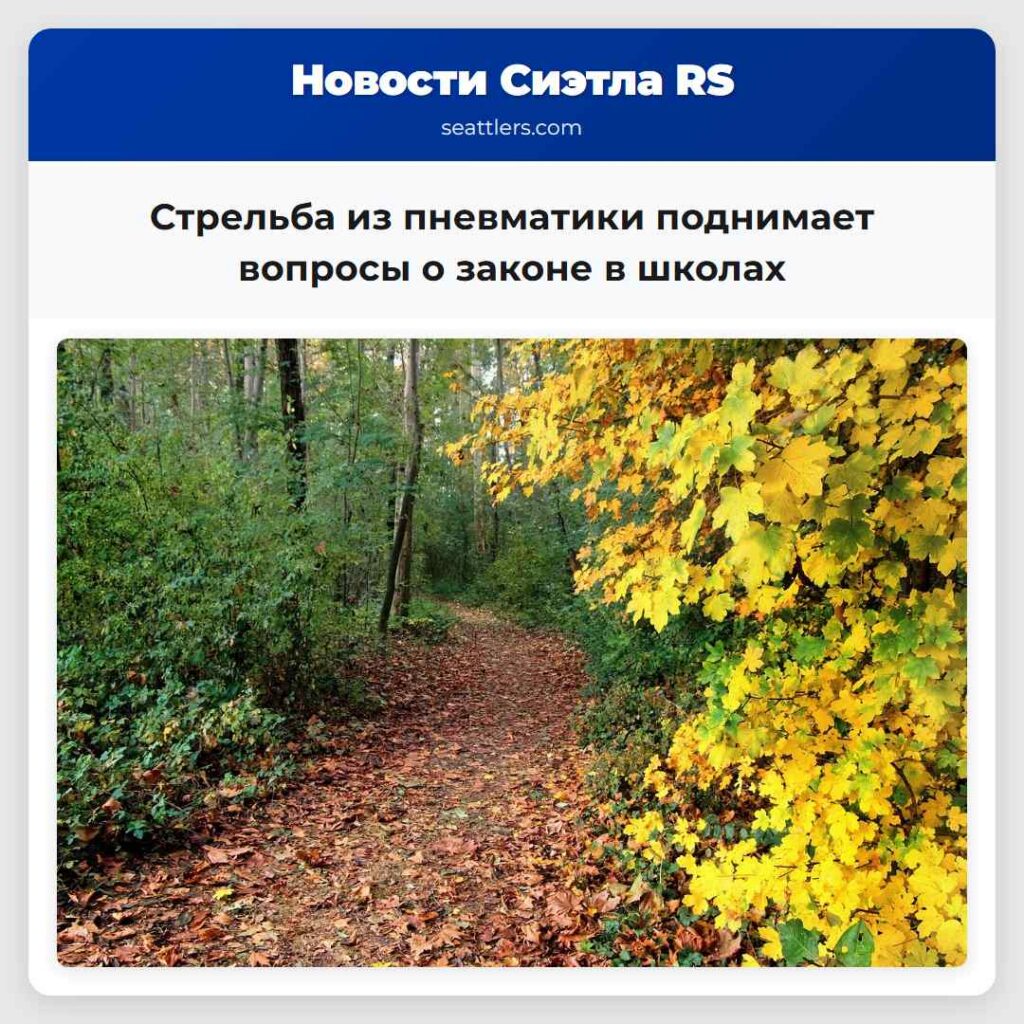 Стрельба из пневматики поднимает вопросы о законе