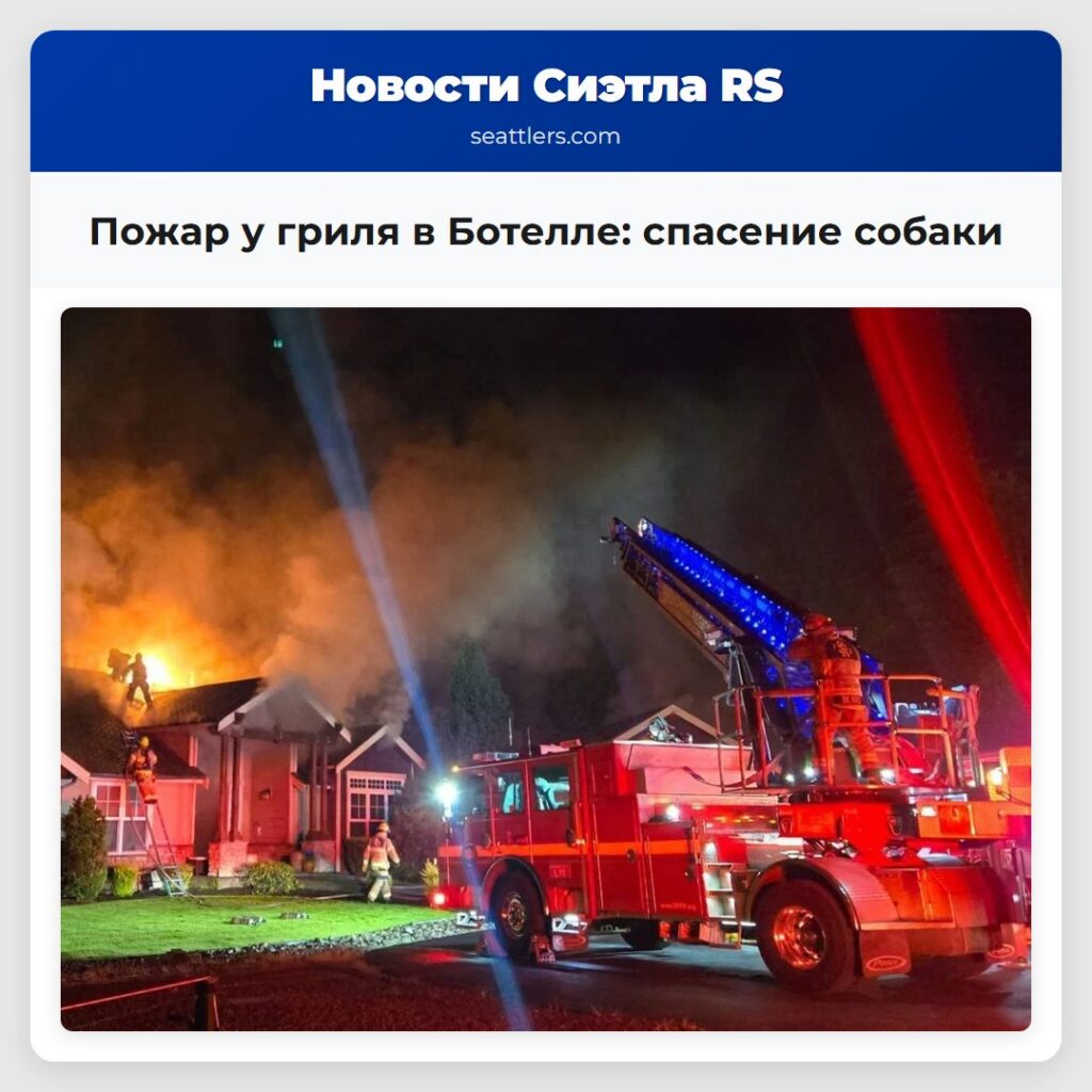 Пожар у гриля в Ботелле: спасение собаки