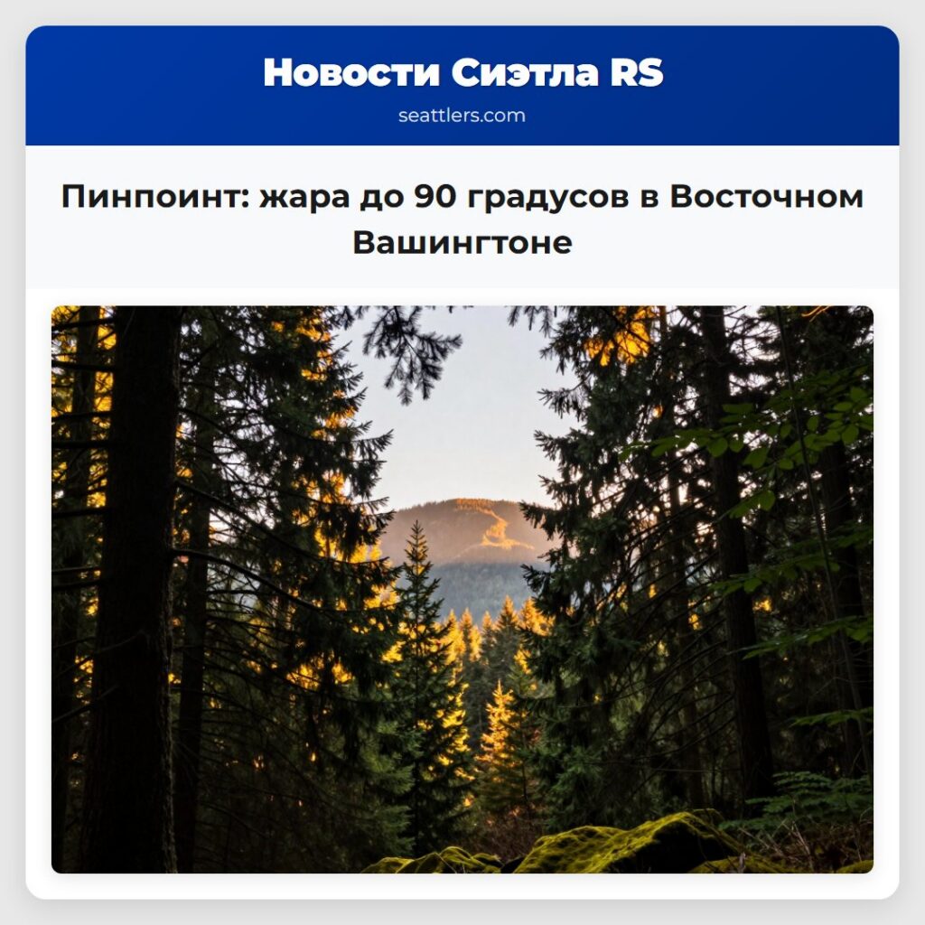 Пинпоинт: жара до 90 градусов в Восточном