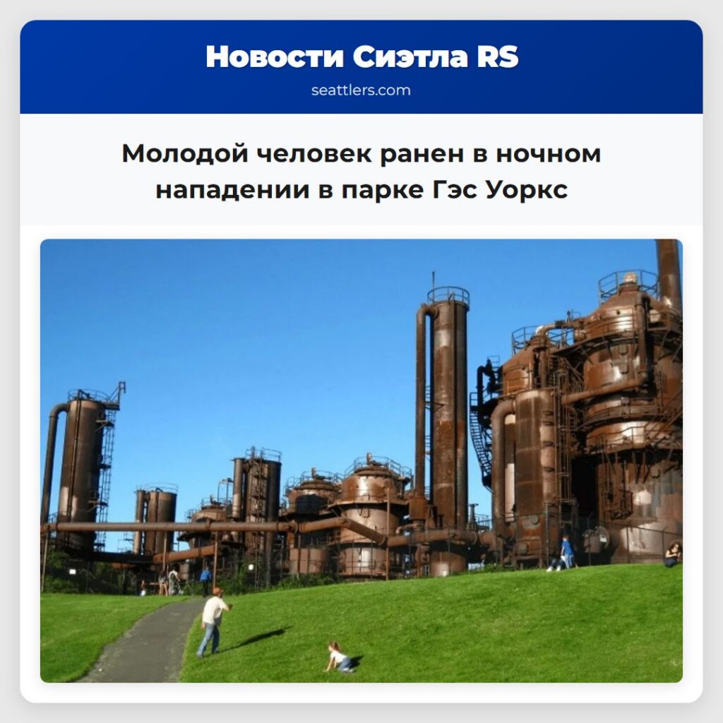 Молодой человек ранен в ночном нападении в парке