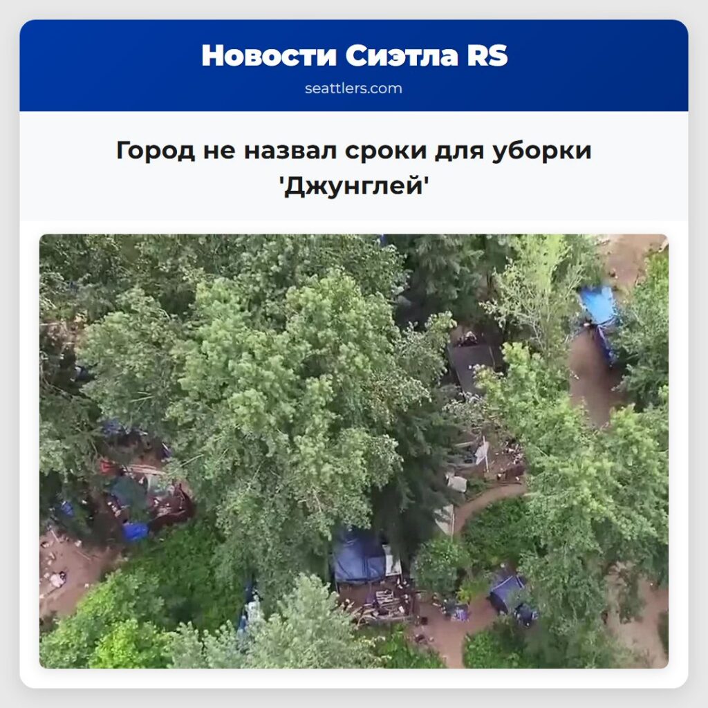 Город не назвал сроки для уборки 'Джунглей'