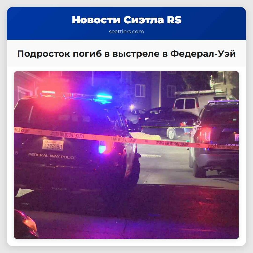 Подросток погиб в выстреле в Федерал-Уэй