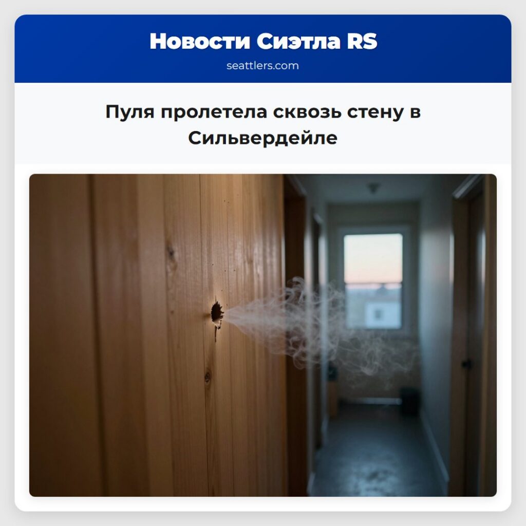 Пуля пролетела сквозь стену в Сильвердейле