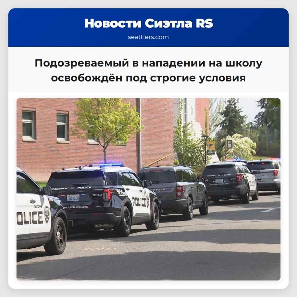 Подозреваемый в нападении на школу освобождён под