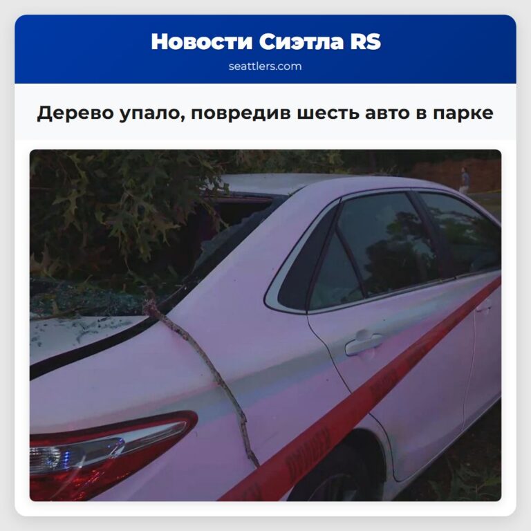 Дерево упало повредив шесть авто в парке
