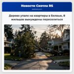 Дерево упало на квартиры в Белвью 8 жильцов вынуждены переселиться