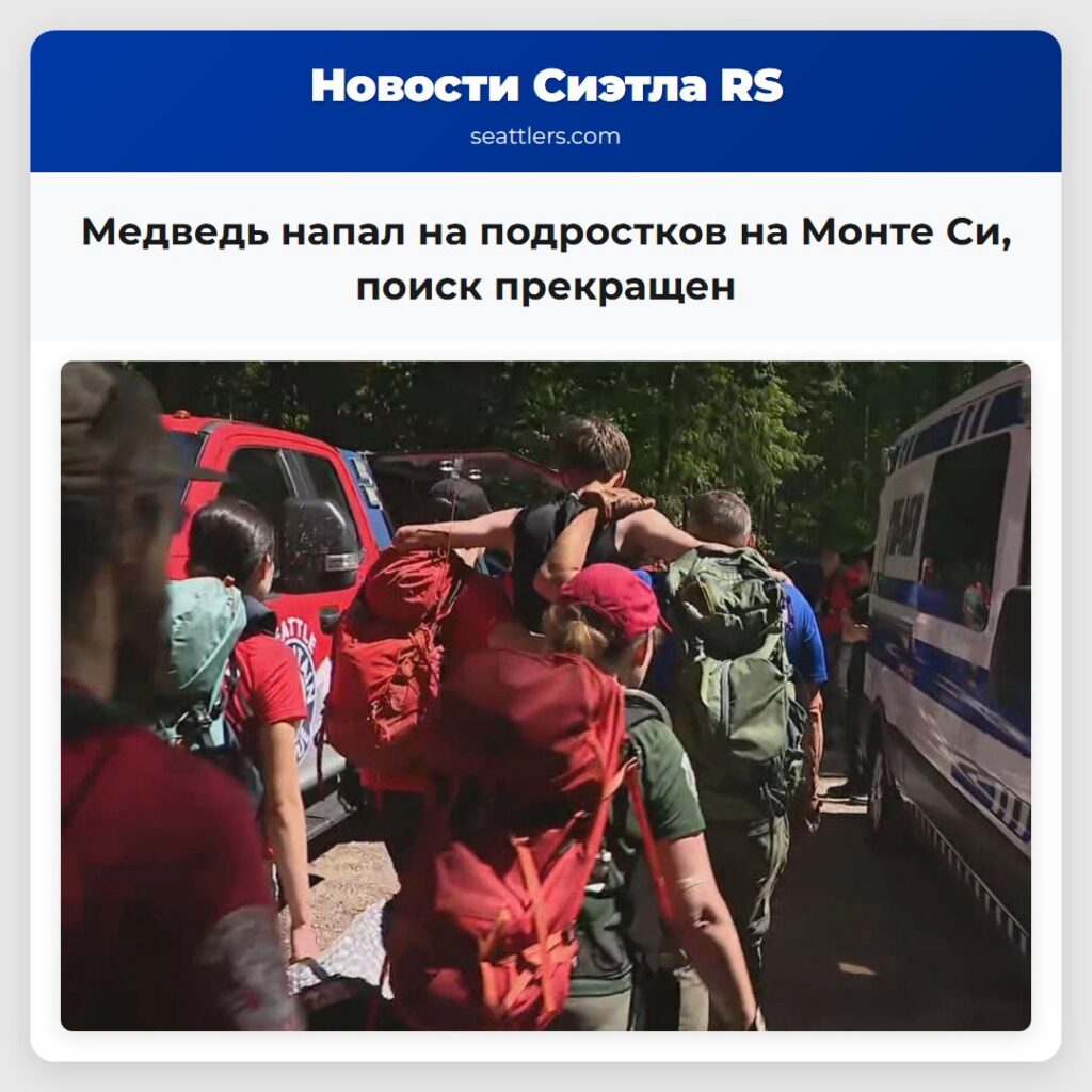 Медведь напал на подростков на Монте Си, поиск