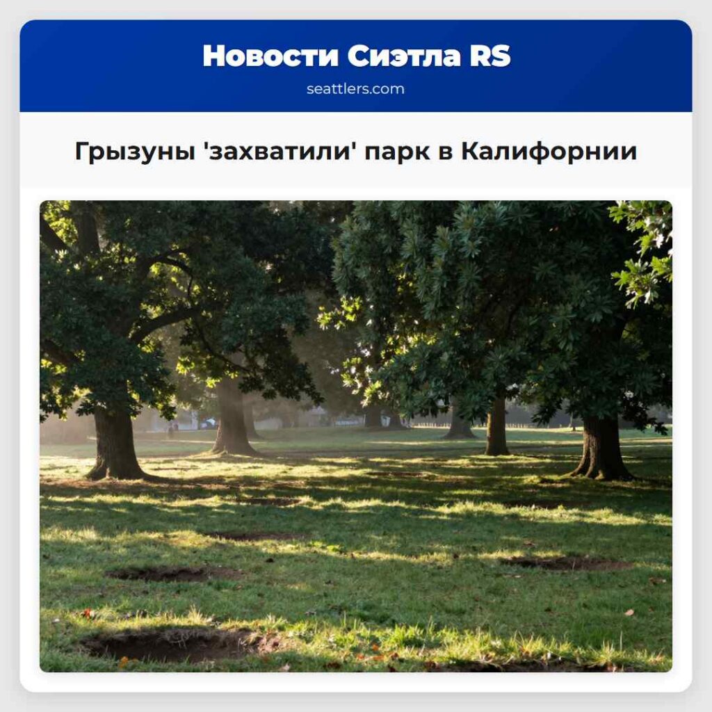 Грызуны 'захватили' парк в Калифорнии