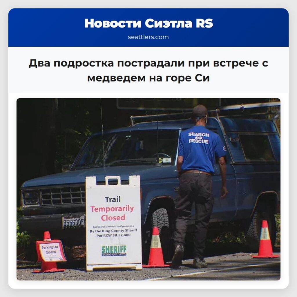 Два подростка пострадали при встрече с медведем
