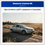 Два погибли в ДТП с деревом в Спанэйве