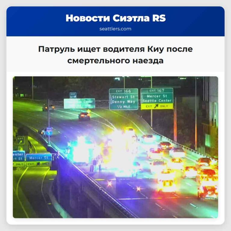 Патруль ищет водителя Киу после смертельного наезда