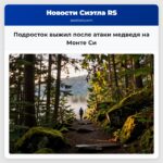 Подросток выжил после атаки медведя на Монте Си
