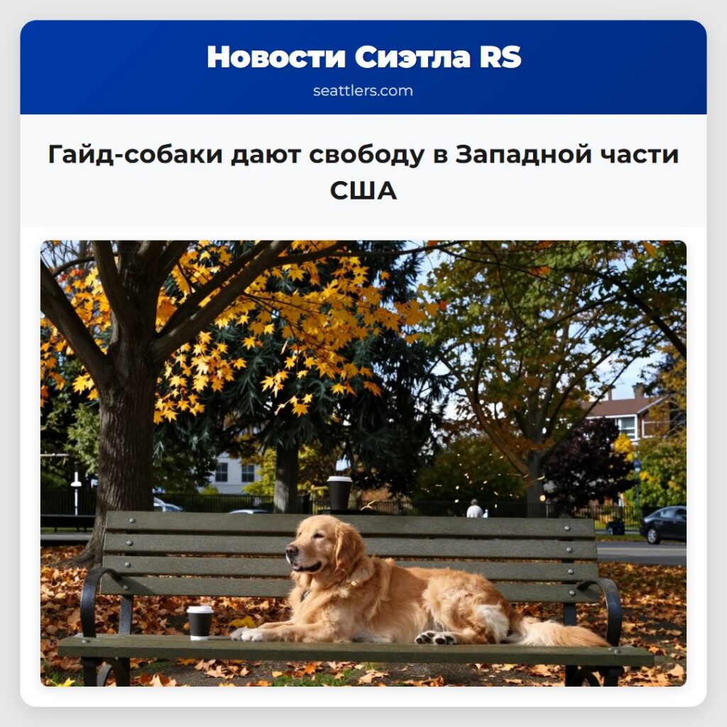 Гайд-собаки дают свободу в Западной части США
