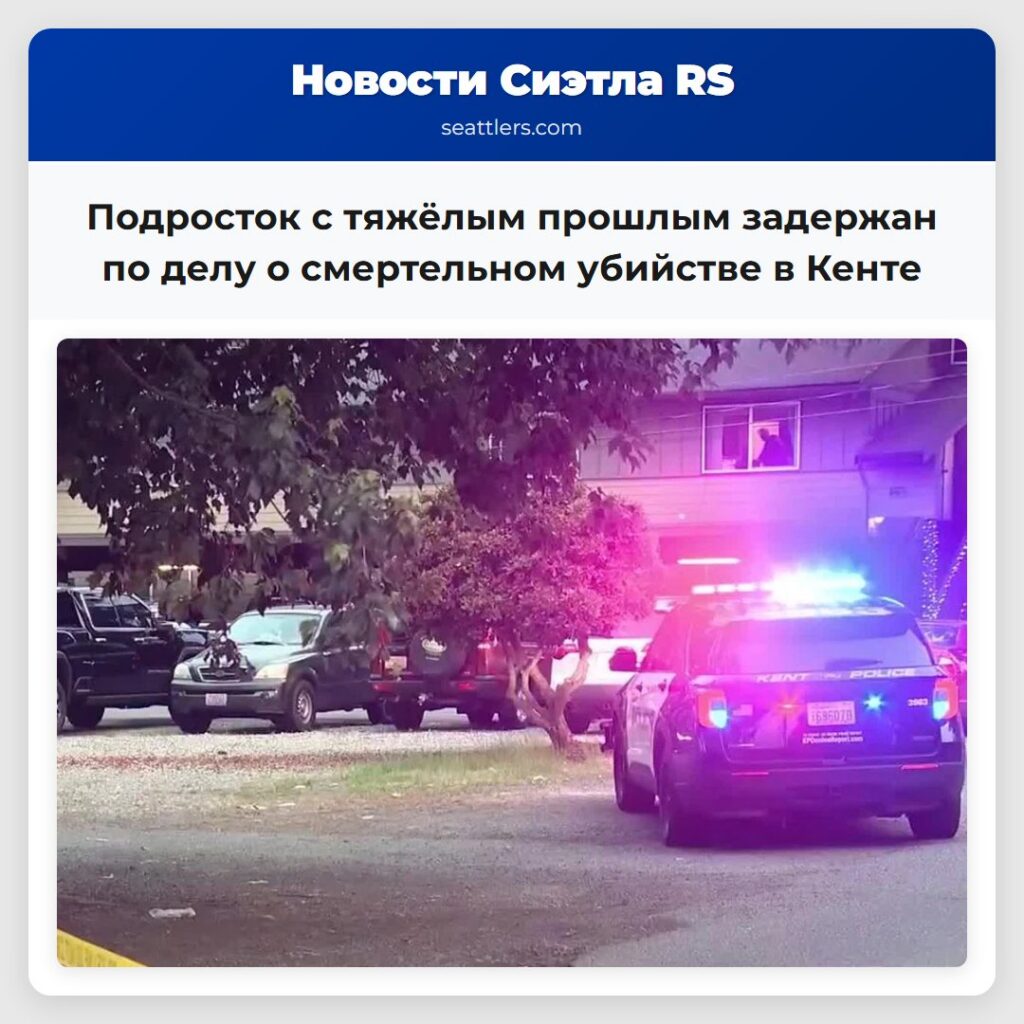 Подросток с тяжёлым прошлым задержан по делу о