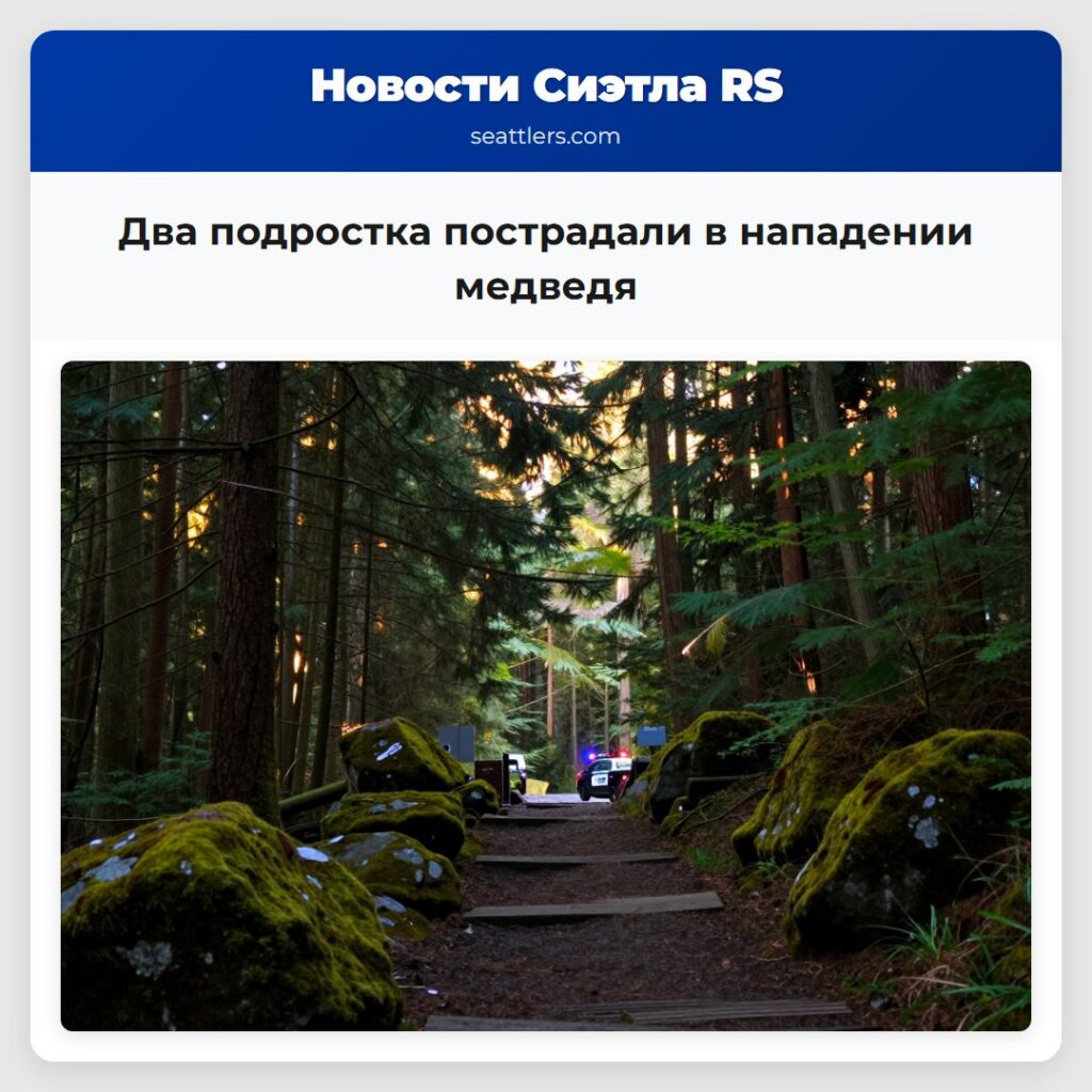 Два подростка пострадали в нападении медведя