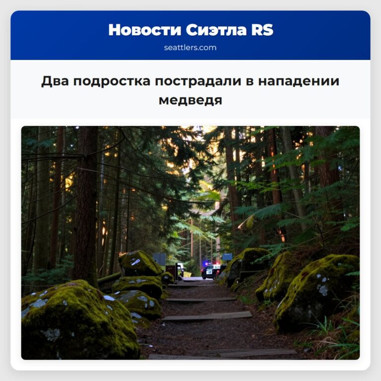 Два подростка пострадали в нападении медведя