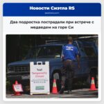Два подростка пострадали при встрече с медведем на горе Си