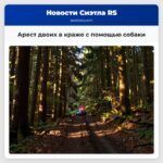 Арест двоих в краже с помощью собаки