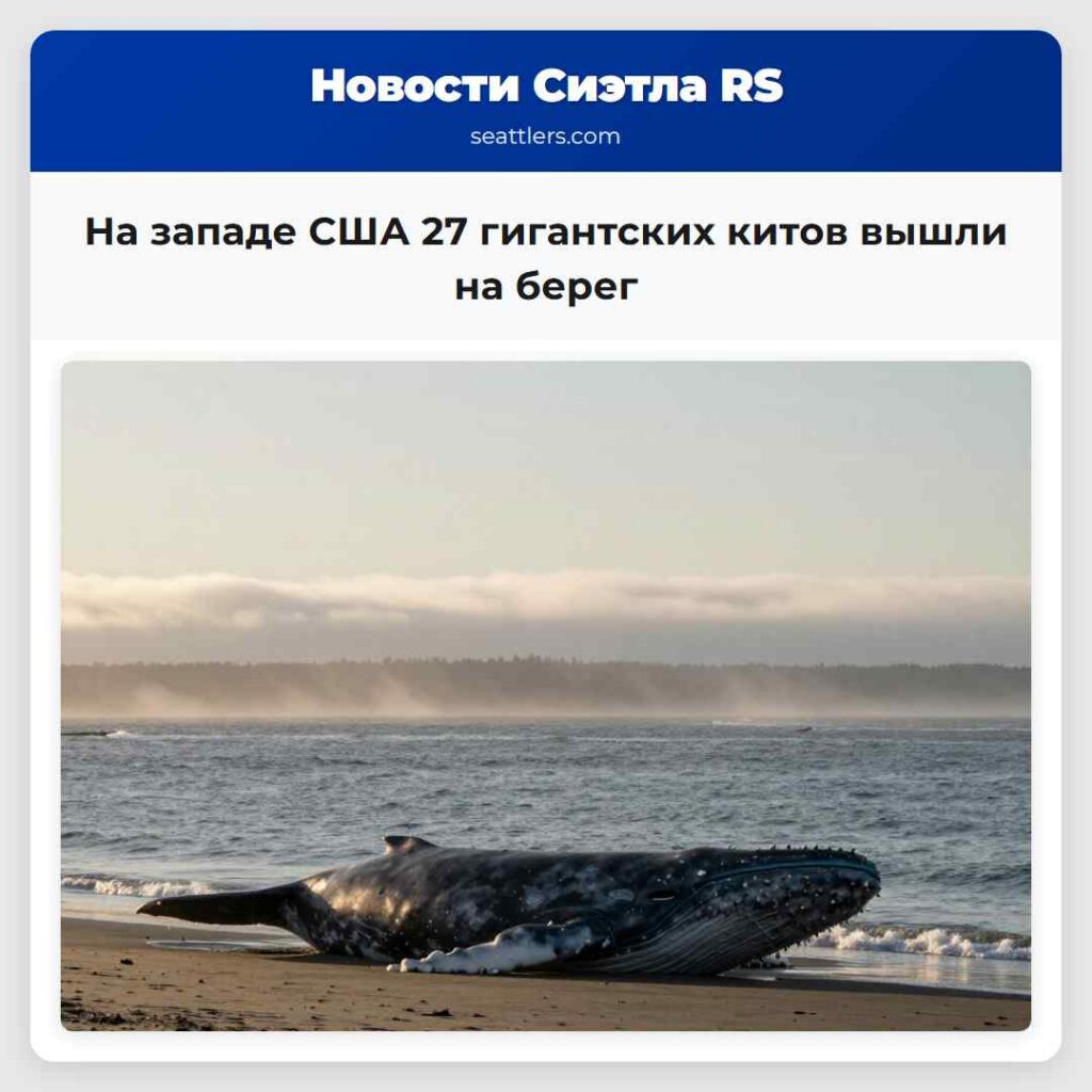 На западе США 27 гигантских китов вышли на берег