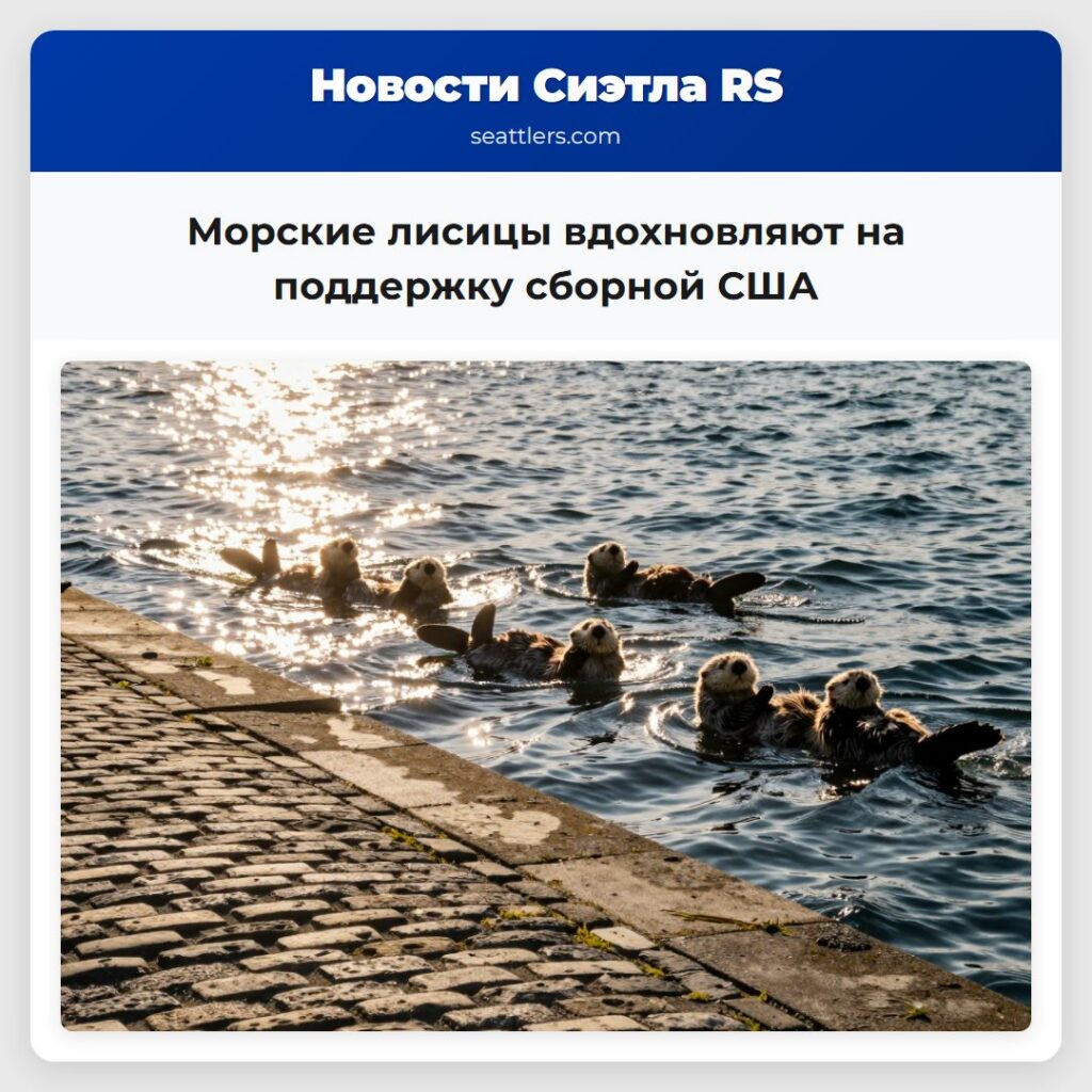 Морские лисицы вдохновляют на поддержку сборной