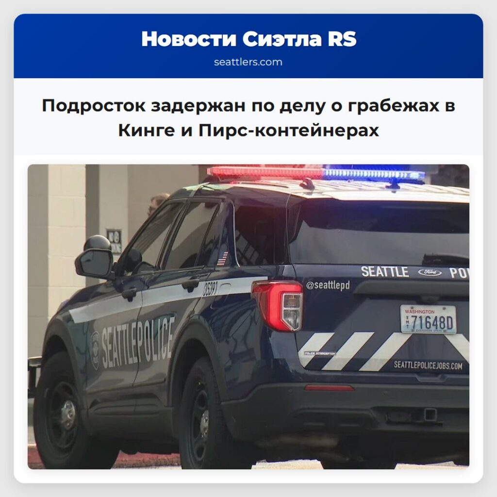 Подросток задержан по делу о грабежах в Кинге и