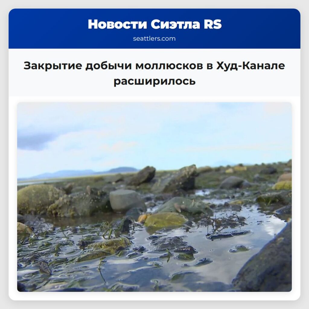 Закрытие добычи моллюсков в Худ-Канале расширилось