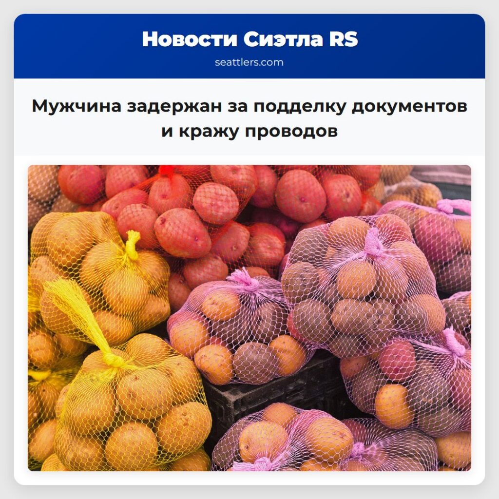 Мужчина задержан за подделку документов и кражу