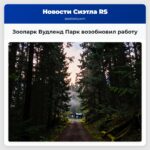 Зоопарк Вудленд Парк возобновил работу