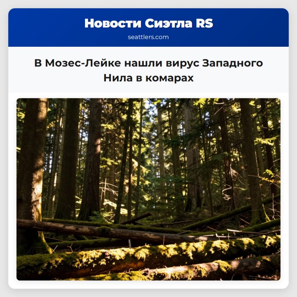 В Мозес-Лейке нашли вирус Западного Нила в комарах