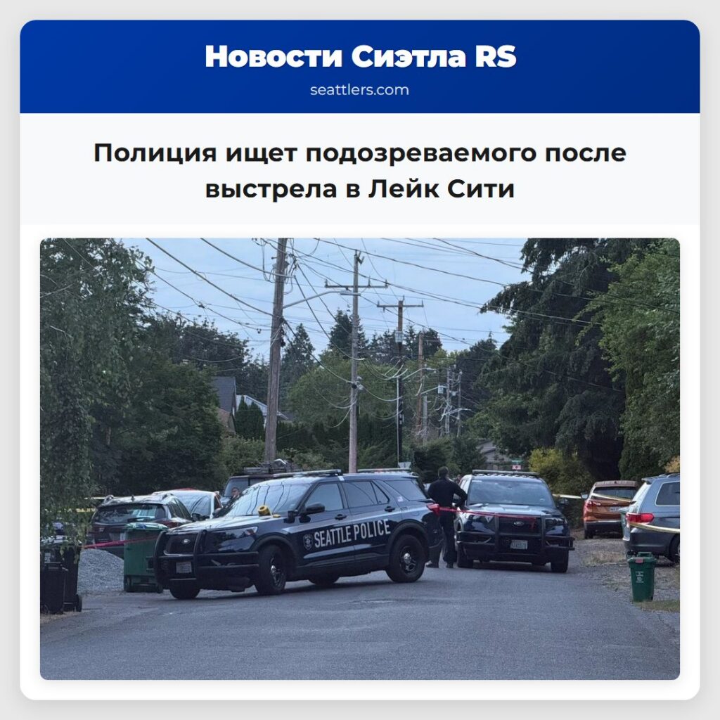 Полиция ищет подозреваемого после выстрела в Лейк