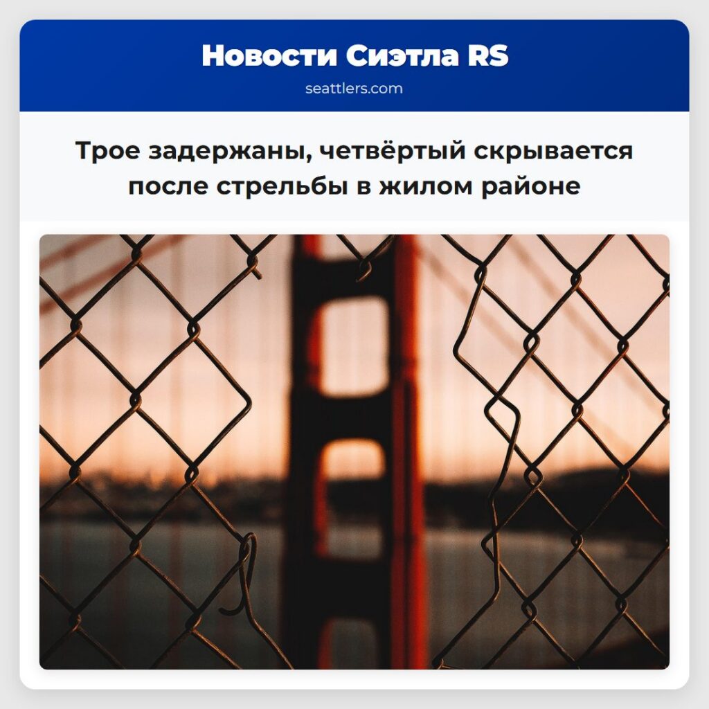 Трое задержаны, четвёртый скрывается после