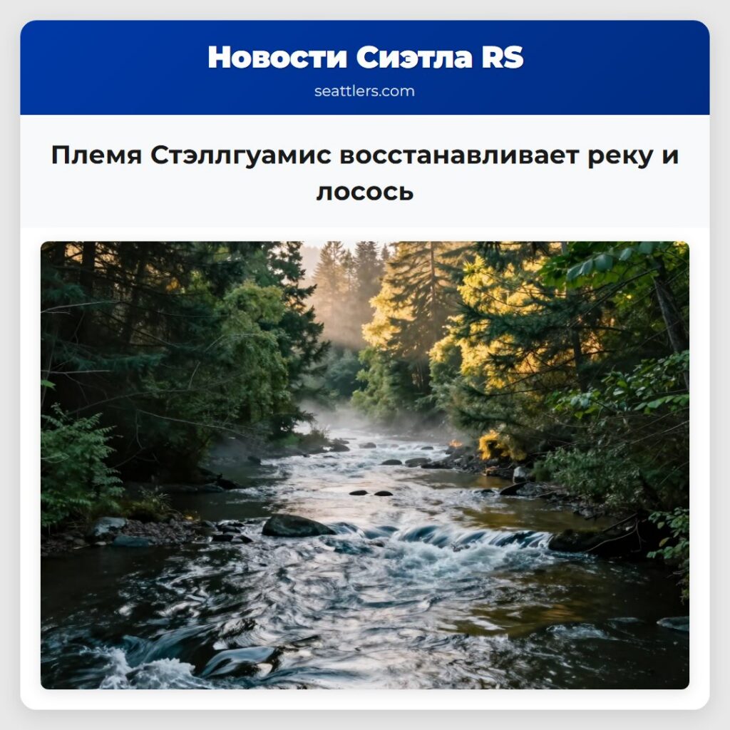 Племя Стэллгуамис восстанавливает реку и лосось