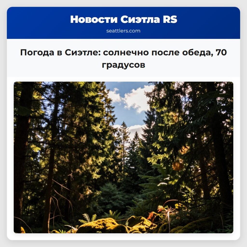 Погода в Сиэтле: солнечно после обеда, 70 градусов