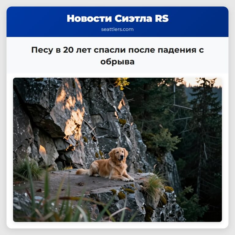 Песу в 20 лет спасли после падения с обрыва