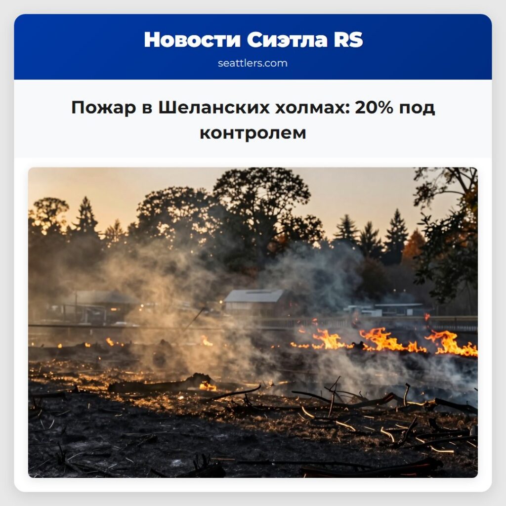 Пожар в Шеланских холмах: 20% под контролем