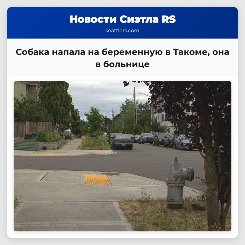 Собака напала на беременную в Такоме, она в