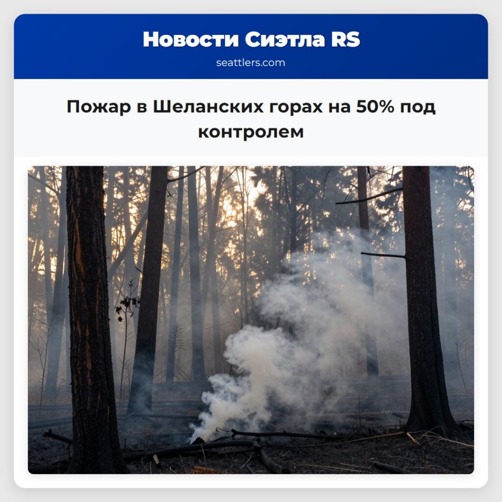 Пожар в Шеланских горах на 50% под контролем