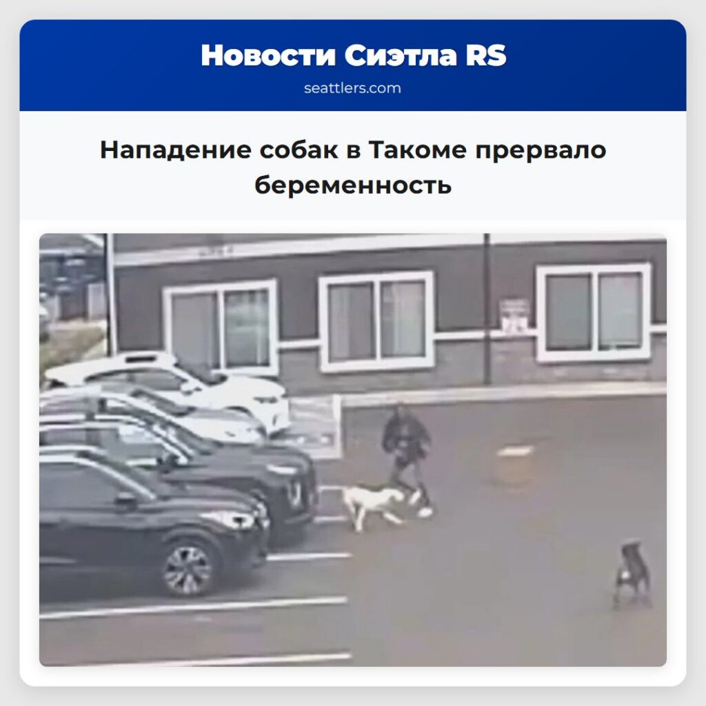 Нападение собак в Такоме прервало беременность