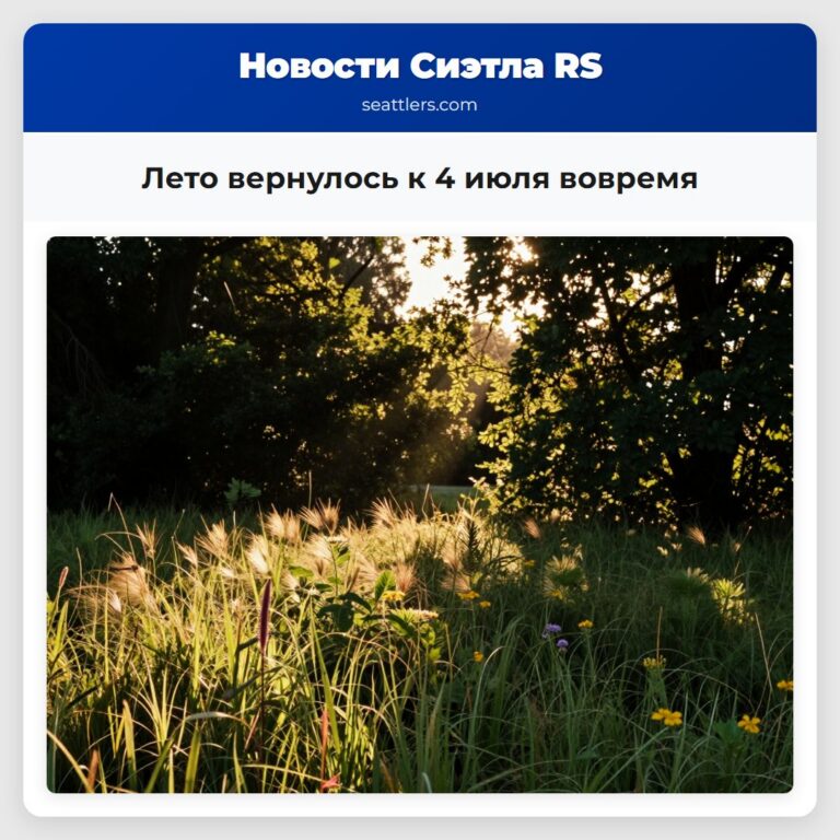 Лето вернулось к 4 июля вовремя