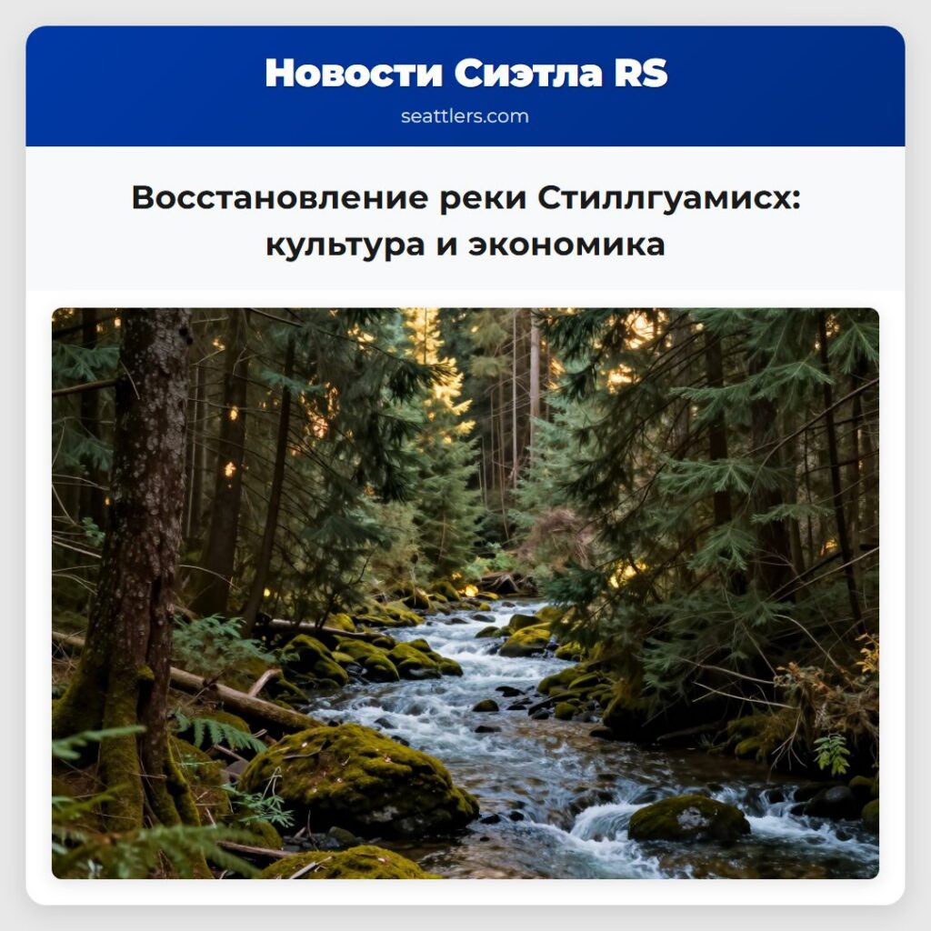 Восстановление реки Стиллгуамисх: культура и