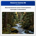 Восстановление реки Стиллгуамисх культура и экономика